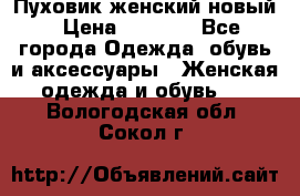 Пуховик женский новый › Цена ­ 2 600 - Все города Одежда, обувь и аксессуары » Женская одежда и обувь   . Вологодская обл.,Сокол г.